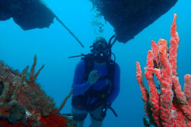 Diving Trip for Certified Divers. - Meeting at Cartagena Nautical Club and getting out on the water