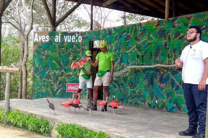 Eco Plan National Aviary and Lunch in Playa Mambo Beach Barú - How the Aviary Trek and Bird Show Work (and When to Catch It)