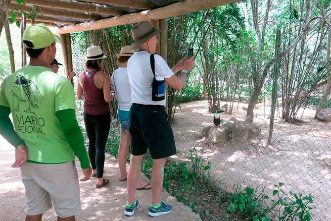 Eco Plan National Aviary and Lunch in Playa Mambo Beach Barú - Group Size, Comfort, and the One Thing to Watch: Crowds