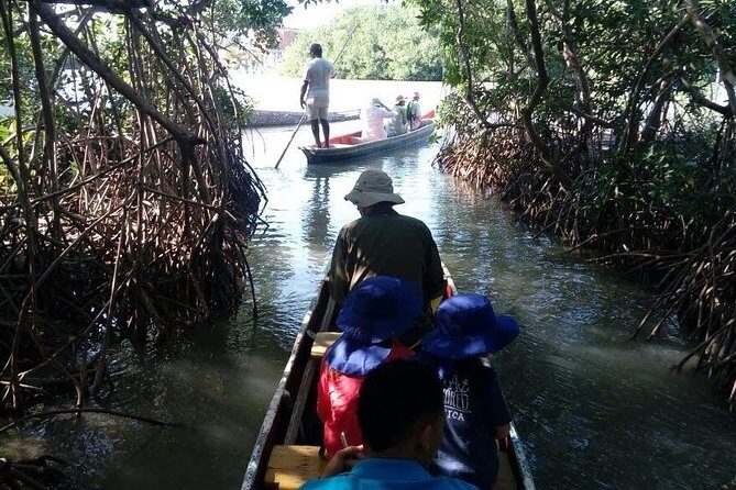 Ecoruta Volcán del Totumo and experience in the Mangroves - Mangroves of La Boquilla: calm waterways, local guides, and real atmosphere