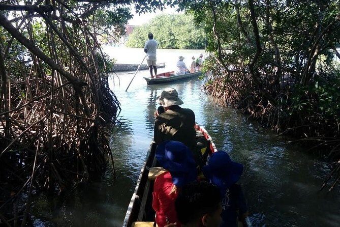 Ecoruta Volcán del Totumo and experience in the Mangroves - Guides, group size, and comfort: where experiences can vary