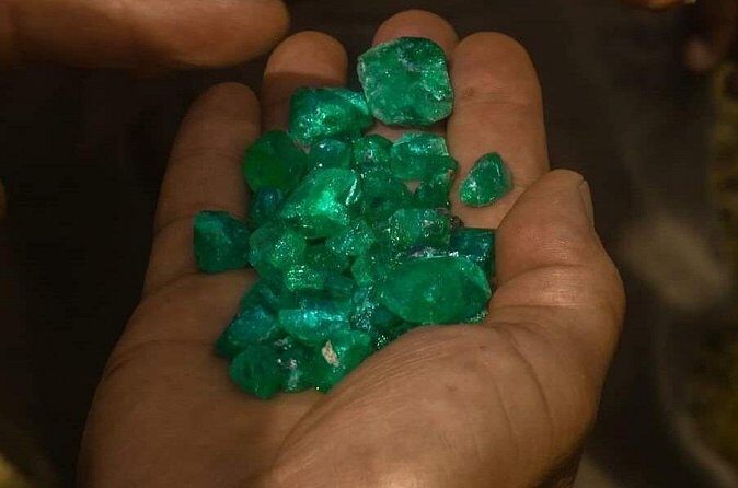 Emerald Lecture - Become an expert - Who this tour is best for
