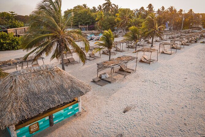 Experience Fenix Beach Cartagena - Basic Day Pass - Isla Tierra Bomba Time: Beach, Pool, Volleyball, and a Long Chill Window