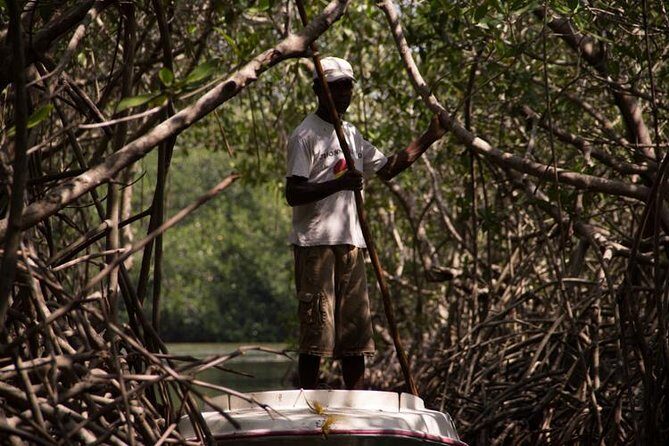 Explore La Boquilla’s Mangrove Tunnels with Local Fishermen - Key Highlights You’ll Notice Right Away