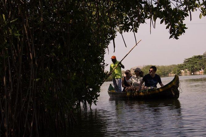 Explore La Boquilla’s Mangrove Tunnels with Local Fishermen - Mangrove Tunnels in La Boquilla: Why This Feels More Like Community Than Sightseeing