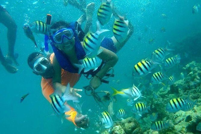 Four Islands Experience Isla Baru - Price and Logistics: Does $90 Add Up?