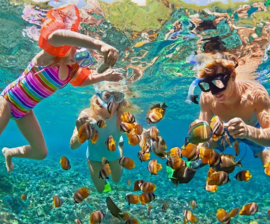 Full Day Barú island: Mangrove +Snorkel + Sunset + Plankton - Freedom Beach Club at Playa Cristal: comfort, photo spots, and small reality checks