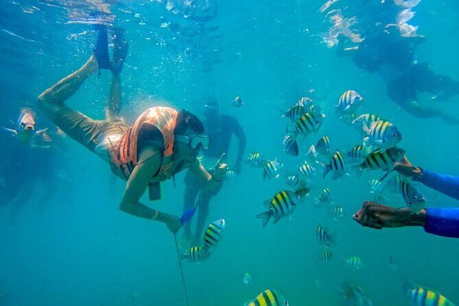 Full Day Cartagena Tour of 5 Islands with Plankton Included - Playa Blanca and the Barú beach club experience