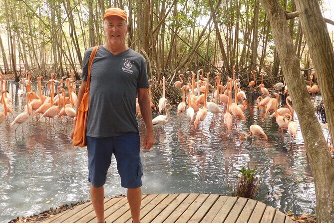 Full Day for Bird Watching with Visit to Isla Baru - Isla Barú and Playa Blanca: Beach Service Included