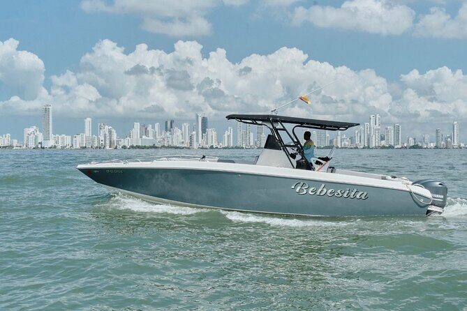 Full Day Private Boat Rent to Rosario and Barú Island - Private Speedboat Day on Rosario and Barú: What the Experience Really Feels Like