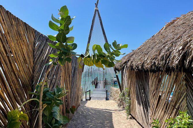 Full Day Private Wellness Experience in Tierra Bomba - English support and food explanations: how to set expectations