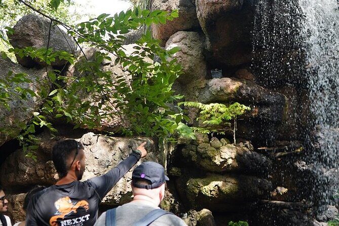 Full-Day Tour Baru - National Aviary and Playa Blanca + Bioluminescent Plankton - Price and Value: What $90 Really Buys You