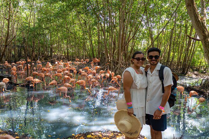 Full-Day Tour Isla Baru - National Aviary of Colombia and Playa Blanca - The Cartagena-to-Barú morning: early pickup, AC ride, and the bridge crossing
