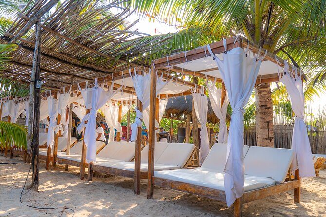 Full-Day Tour Isla Baru - National Aviary of Colombia and Playa Blanca - Aviario Nacional de Colombia at 11:30: birds, exhibits, and how to use your time