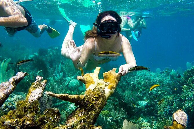 Full Day Tour of 5 Must-See Places in the Rosario Islands - The Cartagena start: Muelle de la Bodeguita and the fort-with-purpose opener