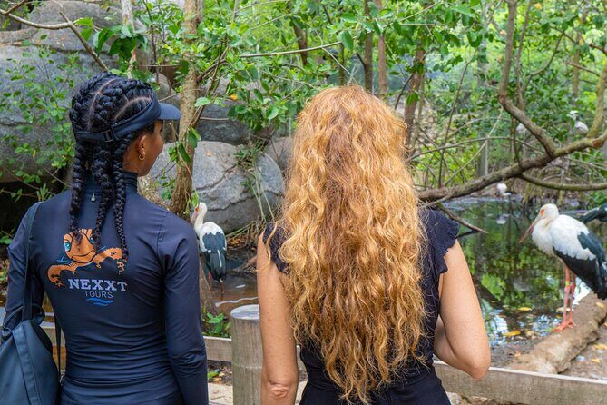 Full Day Tour to the Playa Blanca National Aviary and Plankton - Cartagena to Barú: the road part you’ll either enjoy or ignore