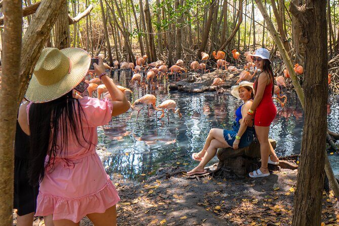 Full Day Tour to the Playa Blanca National Aviary and Plankton - Playa Blanca National Aviary: birds, time, and Sergio’s explanations
