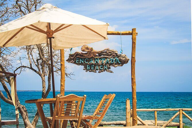 Full day visiting 5 stops 3 Beach Clubs (Rosario, Baru,T Bomba) - Playa Barú at Mambo Beach Club: Shade, Swim, and Lunch Credits
