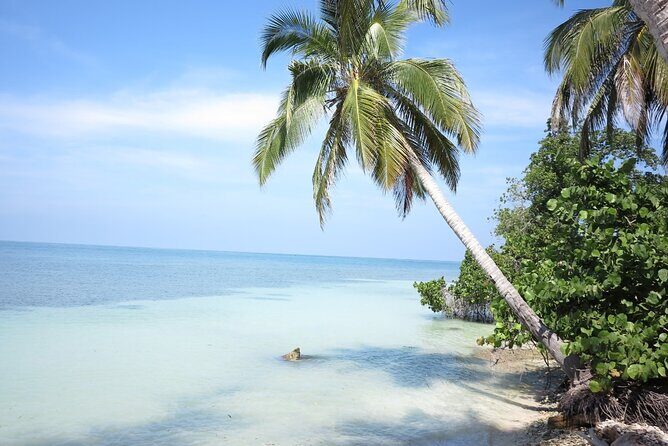 Great Tours Rosario Island, Blue Beach, Cholon And White Beach - Cholón stop: seafood tasting and quick island flavor