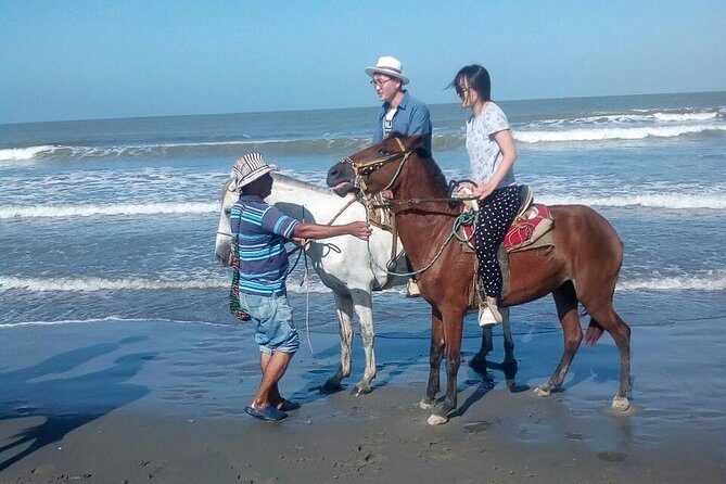 Horse Riding in Cartagena - Key highlights you’ll feel right away