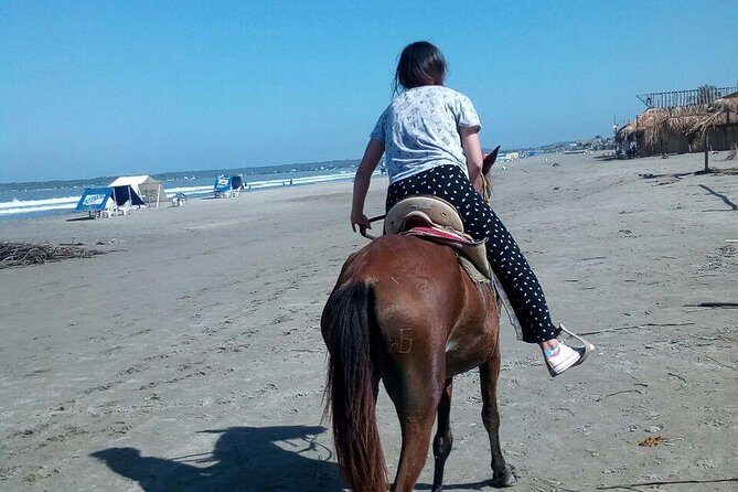 Horse Riding in Cartagena - Playas de la Boquilla: your 1.5-hour beach itinerary in plain terms