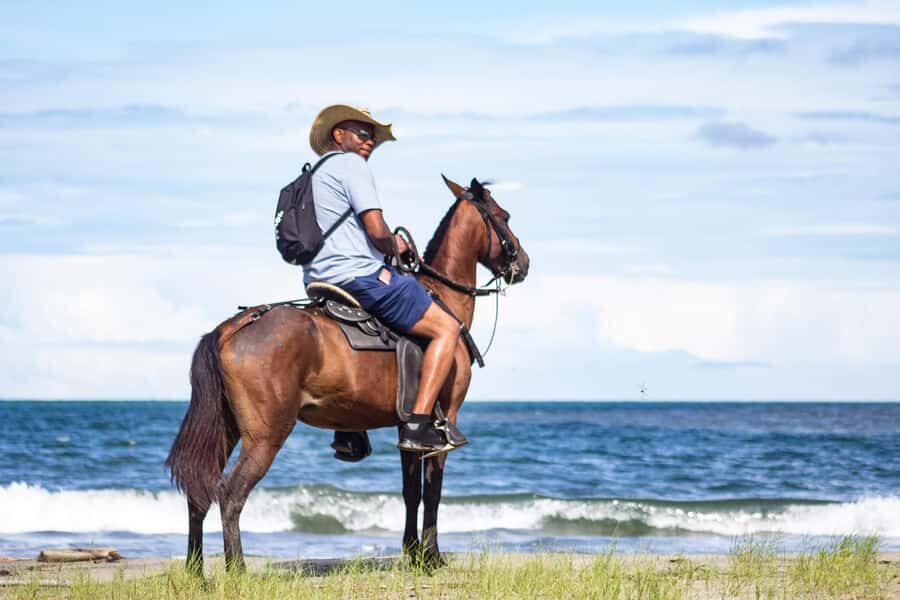 HORSE TOUR IN CARTAGENA BEACH - From Cartagena to Manzanillo del Mar: the logistics that keep it easy