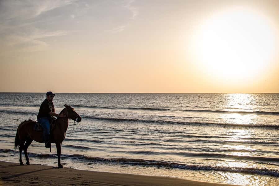 HORSE TOUR IN CARTAGENA BEACH - The hour on the beach: pace, scenery, and the option to go faster
