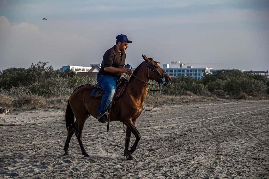 HORSE TOUR IN CARTAGENA BEACH - Who this horse tour suits best (and who might want to pass)