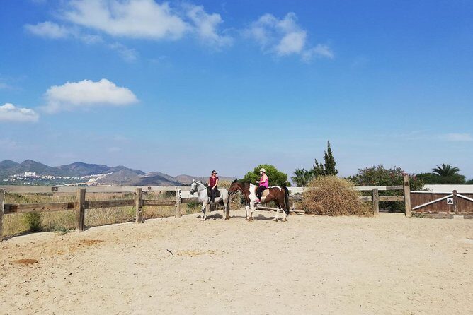 Horseback Riding in Cartagena (Spain) - Guides, Small Groups, and the Helpful Human Touch