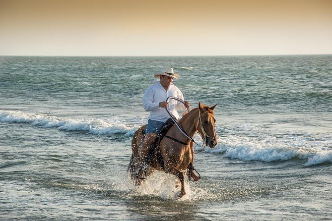 Horseback riding tour in a Colombian Paso fino horse - Key things to know before you go