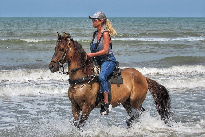 Horseback riding tour in a Colombian Paso fino horse - Paso Fino on the Beach: The Real Cartagena Break You’re After