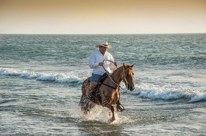 Horseback riding tour in a Colombian Paso fino horse - The Beach Ride: What You Should Expect (Including Water Time)
