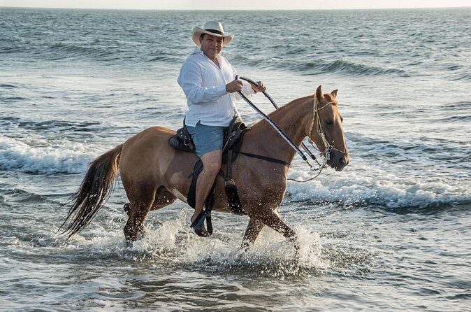 Horseback riding tour in a Colombian Paso fino horse - Photos, Videos, Lunch, and Drinks: The Extras That Make It Feel Worth It