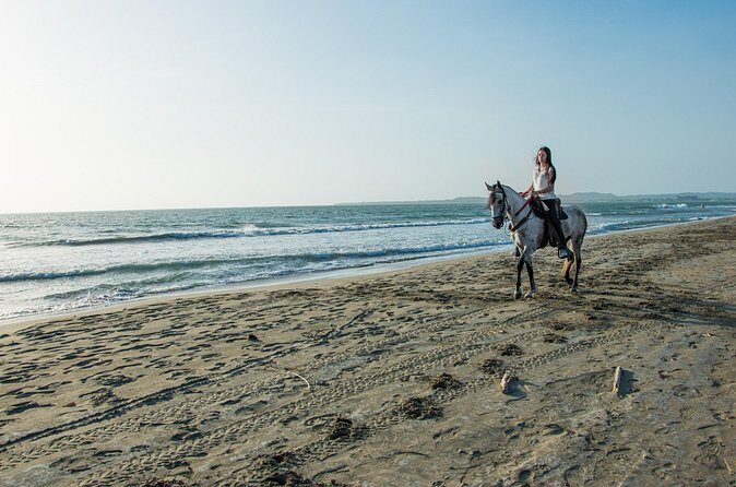 Horseback riding tour in a Colombian Paso fino horse - Price and Value: Is $257 Worth It in Cartagena?