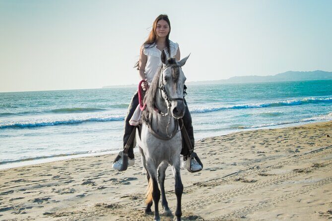Horseback riding tour in a Colombian Paso fino horse - Practical Packing Tips So Your Day Goes Smooth