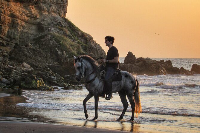 Horseback riding tour in a Colombian Paso fino horse - Hotel Pickup and the Smooth Start (So You Don’t Lose Half a Day)