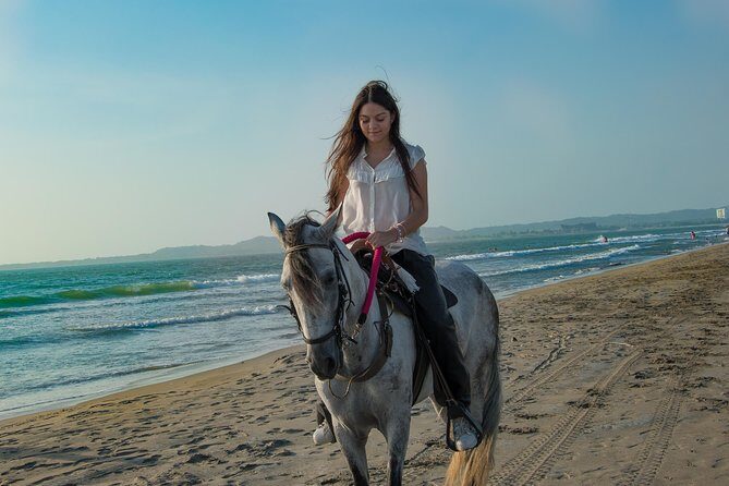 Horseback Riding Tour in Beach of Cartagena - Key points to know before you go
