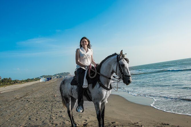 Horseback Riding Tour in Beach of Cartagena - A Paso Fino beach ride that feels personal, not touristy