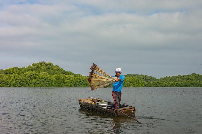 Into the Wild: Canoeing & Birdwatching in La Boquilla’s Untouched - Birdwatching with Real Ecology, Not a Checklist