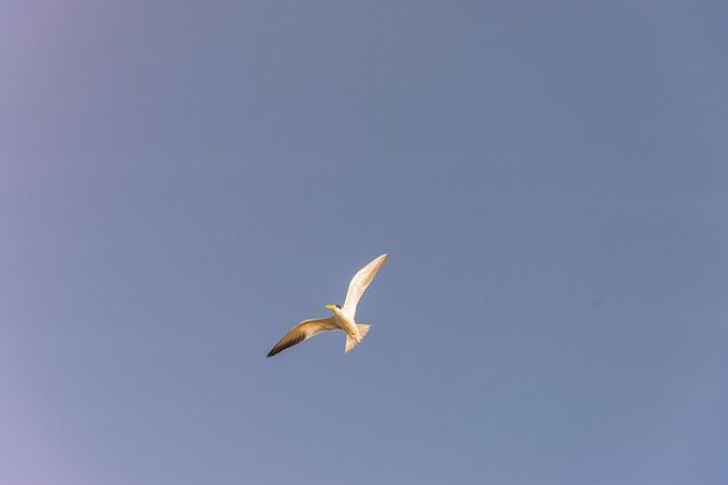 Into the Wild: Canoeing & Birdwatching in La Boquilla’s Untouched - La Boquilla Community Stops and Ancestral Fishing Traditions