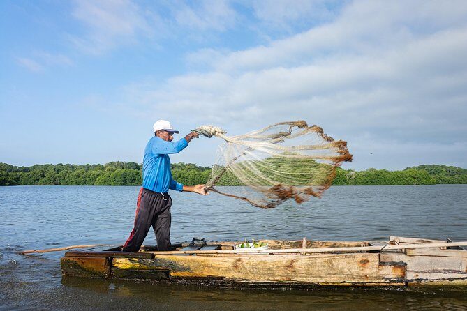 Into the Wild: Canoeing & Birdwatching in La Boquilla’s Untouched - Price and Value of a Private $130 Tour