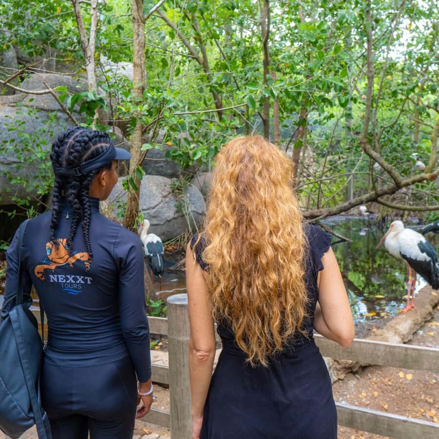 Isla Barú: Beach Club Access and Tour of the National Aviary - Barú Bridge, the Aviary at 11:30, and Playa Blanca in One Day