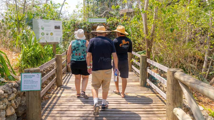 Isla Barú: Beach Club Access and Tour of the National Aviary - Who This Tour Is Best For (and Who Should Skip)