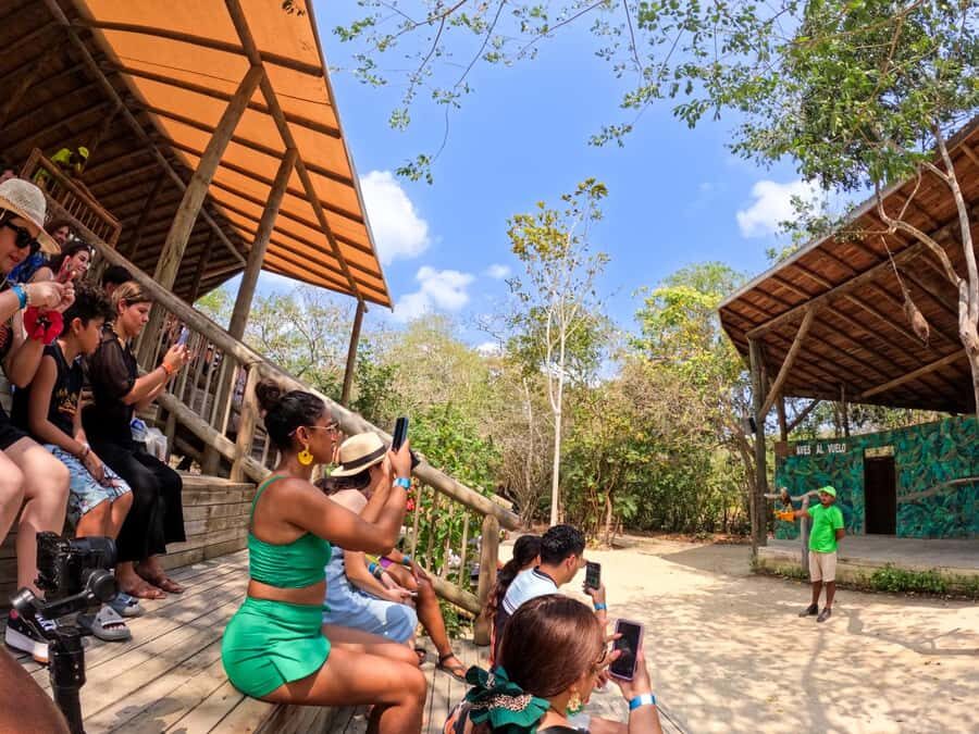 Isla Barú: Beach Club Access and Tour of the National Aviary - Key Things to Know Before You Go