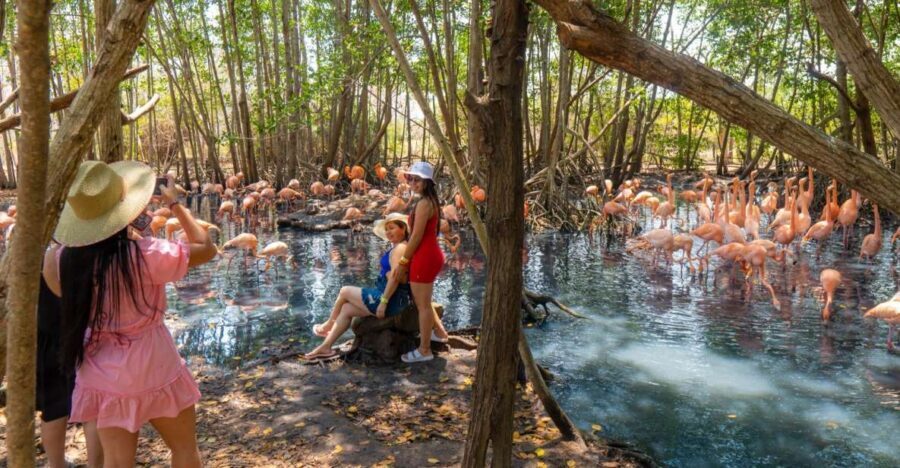 Isla Barú: Beach Club Access and Tour of the National Aviary - More Than 2,000 Birds: The Fun Part Isn’t Just the Numbers