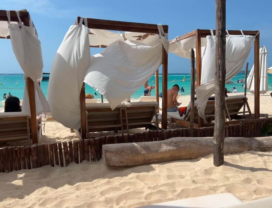 Isla Barú: Beach Club Access and Tour of the National Aviary - How the Conservation Message Lands (Without Feeling Like a Lecture)