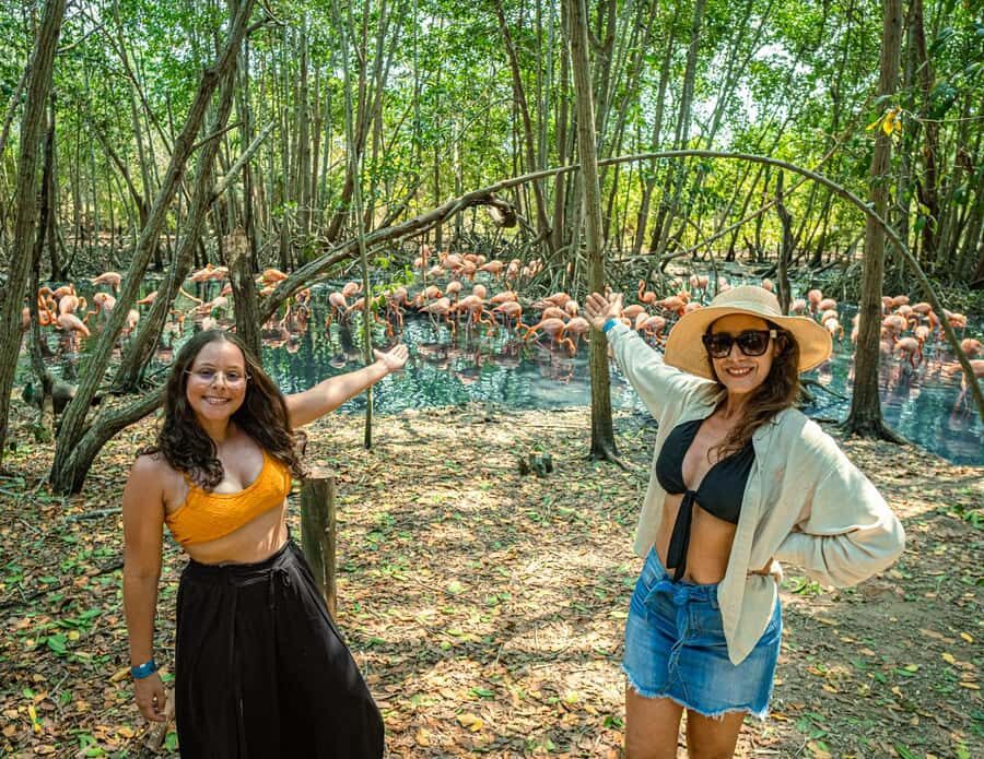 Isla Barú: Beach Club Access and Tour of the National Aviary - Getting From Cartagena to Barú: Pickup Points and the Air-Conditioned Reality