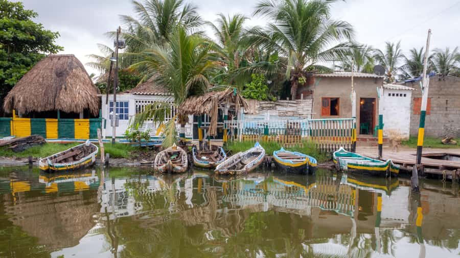 La Boquilla: 3-Hour Canoe Tour through the Mangroves - Key highlights and what they mean for you