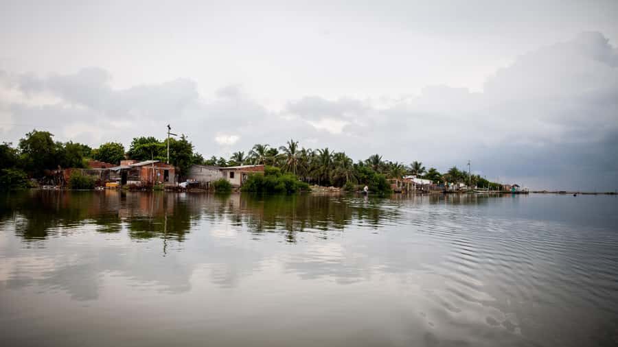 La Boquilla: 3-Hour Canoe Tour through the Mangroves - Price and value: is $159 worth it?