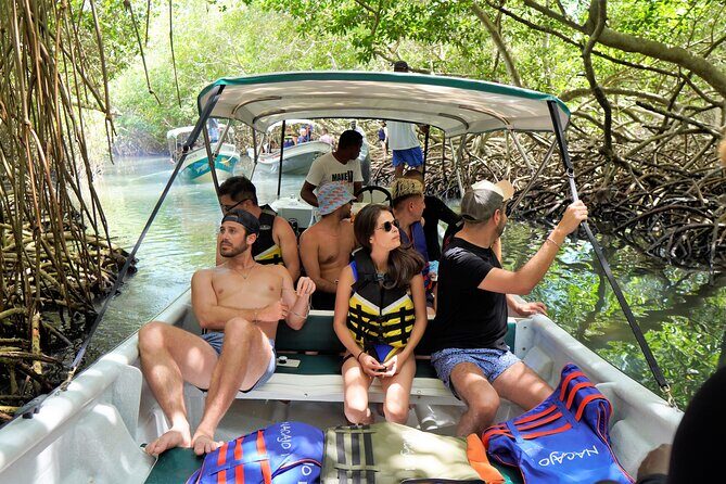 Magical Full-Day Tour Through The Mangroves And The Beach In Isla de Barú - Playa Tranquila Barú at Mambo Beach: Lounges, Voucher Lunch, and Real Talk About Vendors
